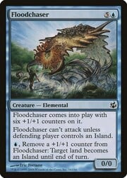 Floodchaser 034