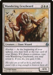 Wandering Graybeard 027