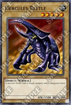 Hercules Beetle Card Front