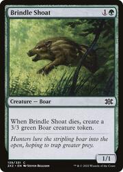 Brindle Shoat 139