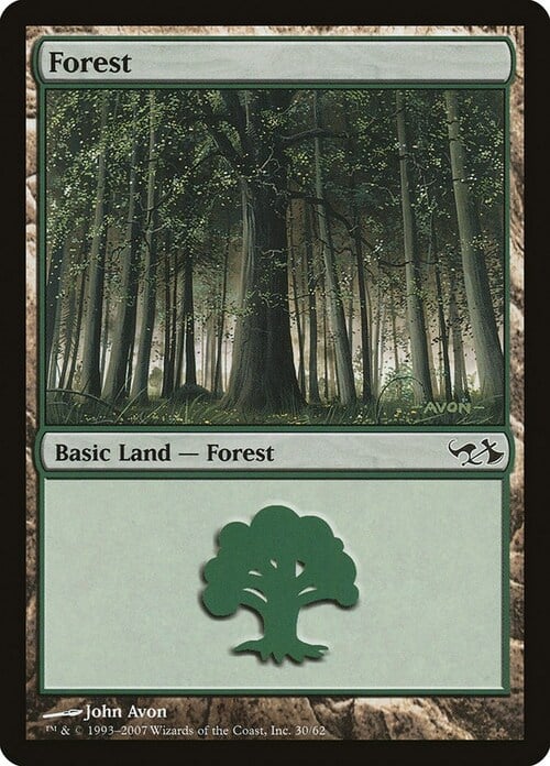 Forest Card Front