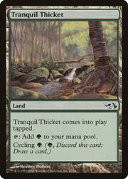 Tranquil Thicket 027