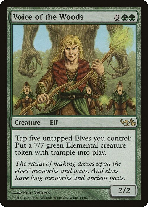 Voice of the Woods Card Front