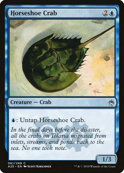 Horseshoe Crab Card Front