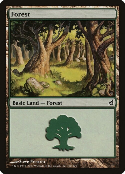 Forest Card Front