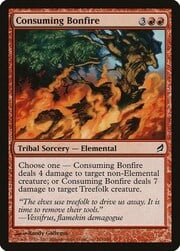 Consuming Bonfire 161