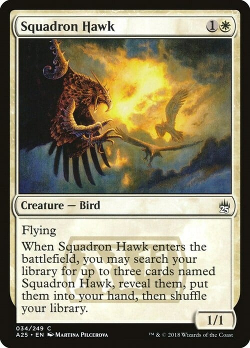 Squadron Hawk Card Front