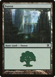 Forest · 383 383