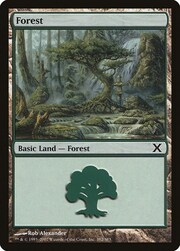 Forest · 382 382