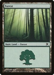 Forest · 381 381