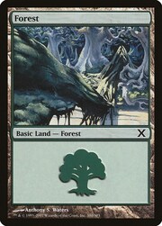 Forest · 380 380
