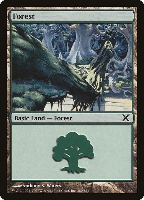 Forest Card Front