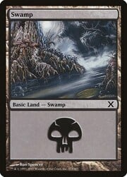 Swamp · 373 373