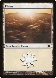 Plains · 365 365