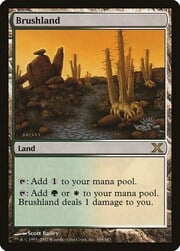Brushland 349