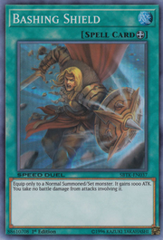 Bashing Shield · Common 028