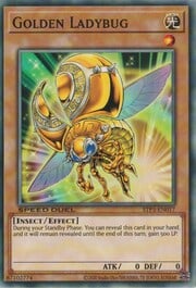 Golden Ladybug · Common 017