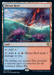 Shivan Reef 255
