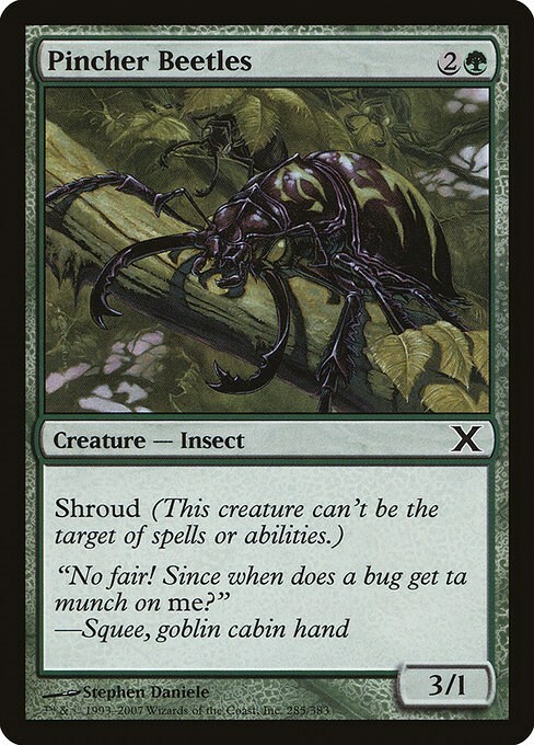 Pincher Beetles Card Front