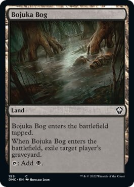 Bojuka Bog Card Front