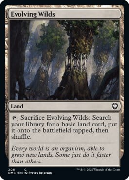 Evolving Wilds Card Front