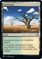 Grasslands 214