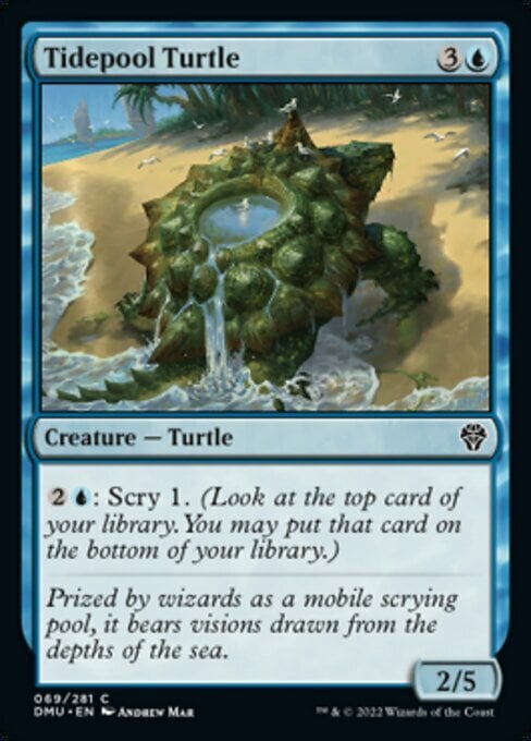 Tidepool Turtle Card Front