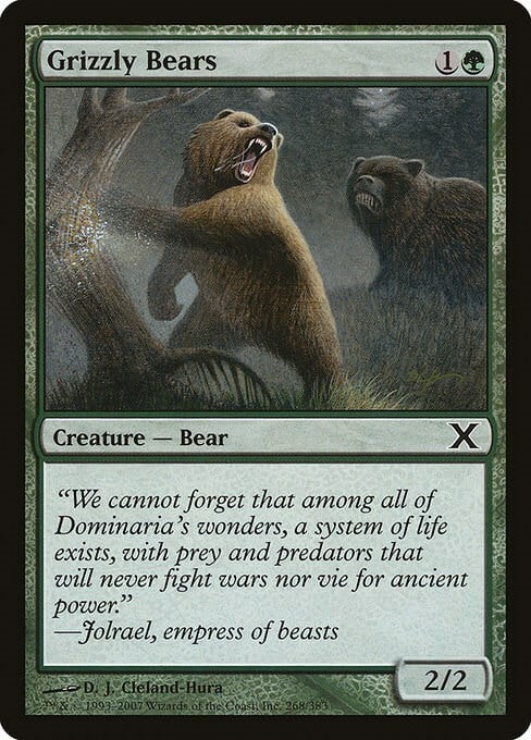 Grizzly Bears Card Front