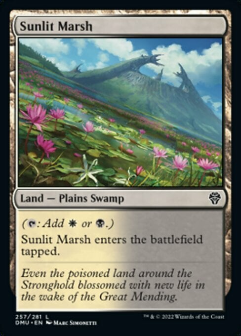 Sunlit Marsh Card Front