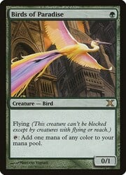 Birds of Paradise 252★