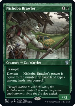 Nishoba Brawler Card Front
