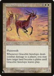Graceful Antelope 024