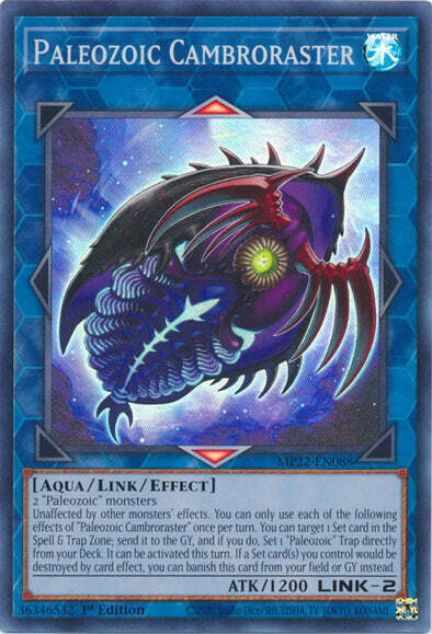 Cambroraster Paleozoica Card Front