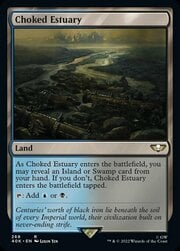 Choked Estuary 268