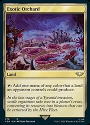 Exotic Orchard 278