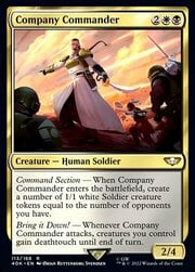 Company Commander 113