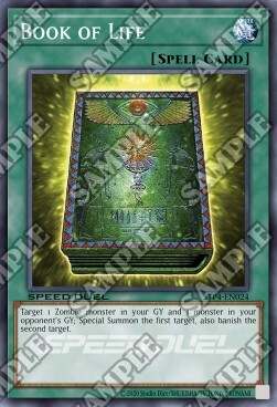 Libro della Vita Card Front