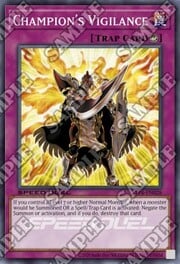 Champion's Vigilance · Common 028