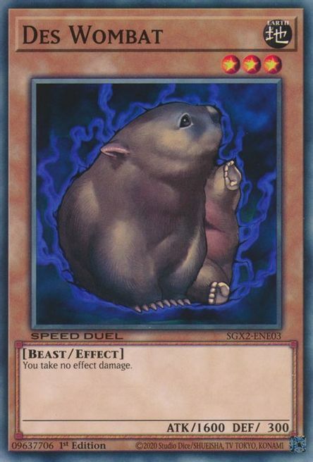 Des Wombat Card Front