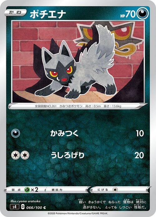Poochyena Card Front