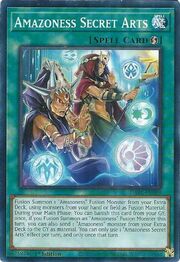 Amazoness Secret Arts · Common 099