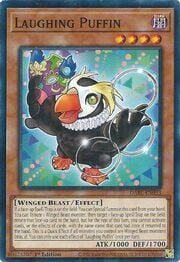 Laughing Puffin · Common 033