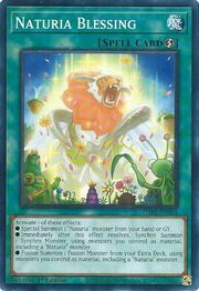 Naturia Blessing · Common 064