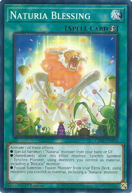 Naturia Blessing Card Front