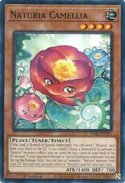 Naturia Camellia · Common 021