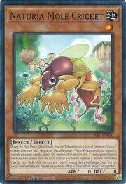 Naturia Mole Cricket · Common 020