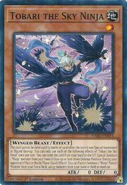 Tobari the Sky Ninja · Common 015
