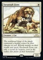 Savannah Lions 038