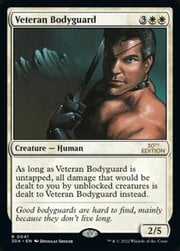 Veteran Bodyguard 041