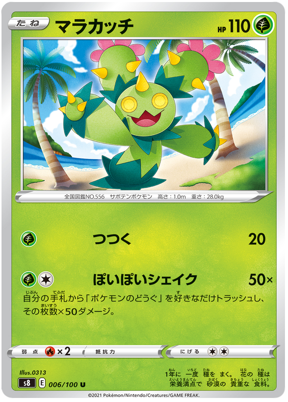 Maractus
